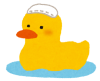 furo_ducky